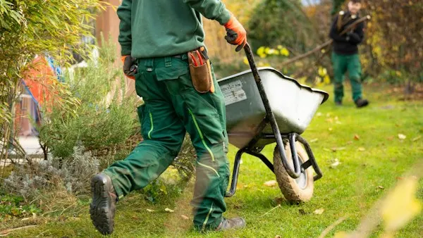Landscaper pulling a wheelbarrow across a yard